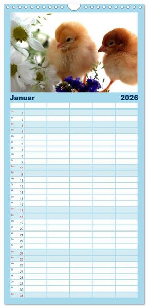 Produktbild: Familienplaner 2026 - K&uuml;ken in der Kinderstube mit 5 Spalten (Wandkalender, 21 x 45 cm) CALVENDO