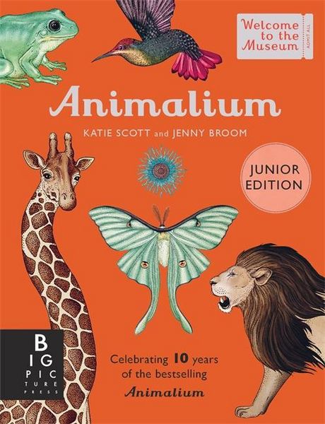 Produktbild: Animalium (Junior Edition)