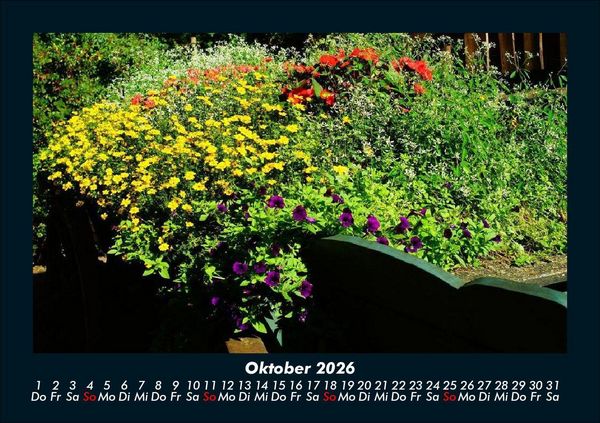 Produktbild: Blumenkalender 2026 Fotokalender DIN A5