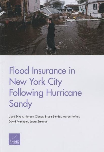 Produktbild: Flood Insurance in New York City Following Hurricane Sandy