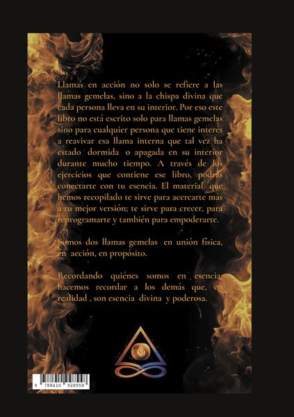 Produktbild: Llamas en acci&oacute;n