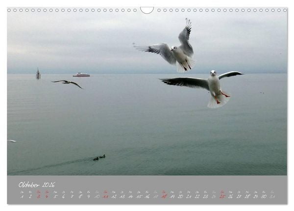 Produktbild: Farbrausch Bodensee (Wandkalender 2026 DIN A3 quer), CALVENDO Monatskalender