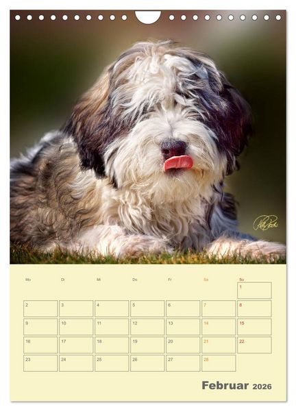 Produktbild: PON-Welpen - jeder Tag ein gro&szlig;es Abenteuer / Planer (Wandkalender 2026 DIN A4 hoch), CALVENDO Monatskalender