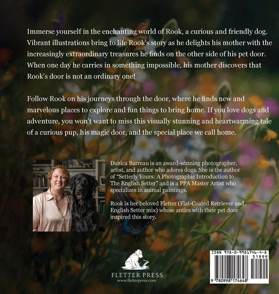 Produktbild: Rook and the Magic Door