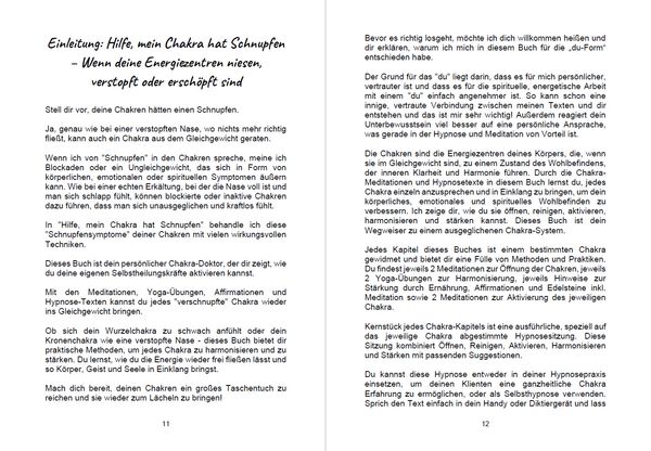 Produktbild: Hilfe mein Chakra hat Schnupfen