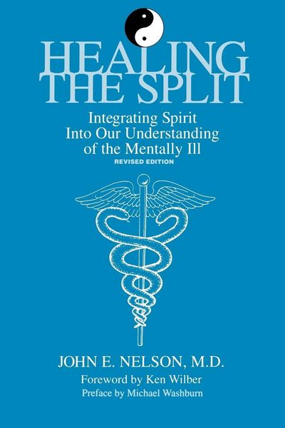 Produktbild: Healing the Split