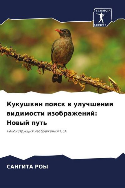 Produktbild: Kukushkin poisk w uluchshenii widimosti izobrazhenij: Nowyj put'