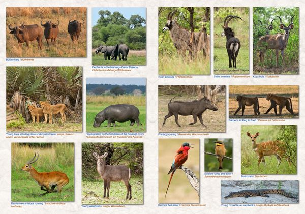 Produktbild: Namibia