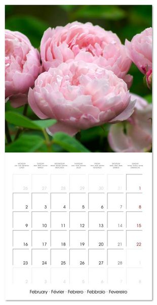 Produktbild: LE PARFUM ENVO&Ucirc;TANT DES ROSES (Calendrier mural carr&eacute; 2026 30x30 cm) Calendrier double avec une page pour vos prises de notes