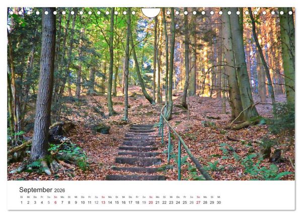 Produktbild: Wege durchs Jahr- Zitate begleiten auf romantisch sch&ouml;nen Wegen (Wandkalender 2026 DIN A4 quer), CALVENDO Monatskalender
