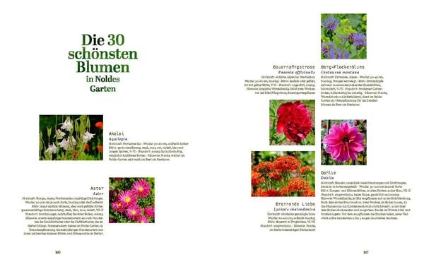 Produktbild: Der Garten von Emil Nolde