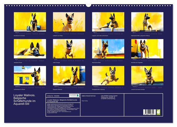 Produktbild: Loyaler Malinois. Belgische Sch&auml;ferhunde im Aquarell-Stil (Wandkalender 2026 DIN A2 quer), CALVENDO Monatskalender
