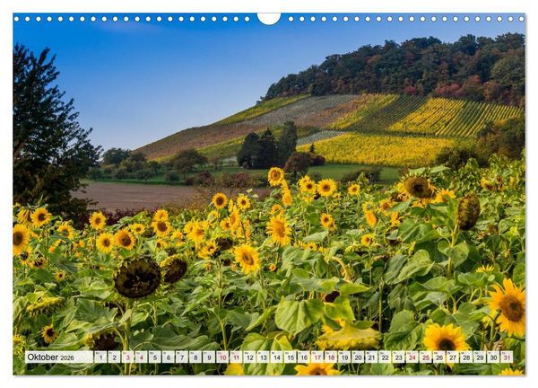 Produktbild: Sch&ouml;ner Kraichgau (Wandkalender 2026 DIN A3 quer), CALVENDO Monatskalender