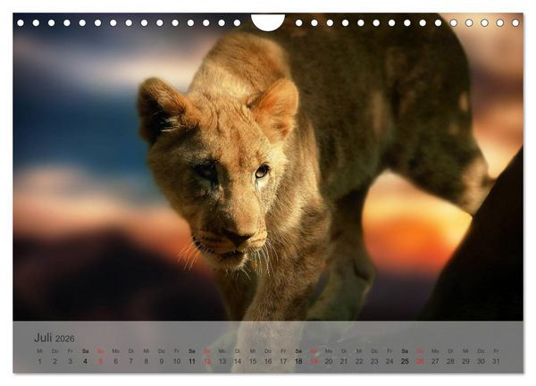 Produktbild: Afrikas sch&ouml;ne Tierwelt (Wandkalender 2026 DIN A4 quer), CALVENDO Monatskalender