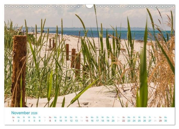 Produktbild: Der Dar&szlig; Kalender (Wandkalender 2026 DIN A3 quer), CALVENDO Monatskalender