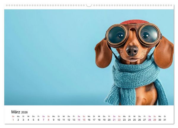 Produktbild: Kreativ Kalender - Tiere & eigene Ideen (hochwertiger Premium Wandkalender 2026 DIN A2 quer), Kunstdruck in Hochglanz