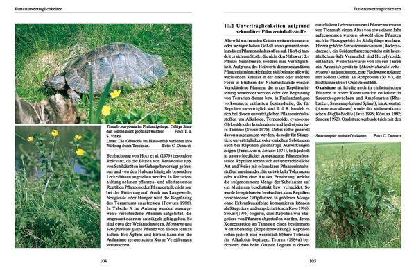 Produktbild: Ern&auml;hrung von Landschildkr&ouml;ten