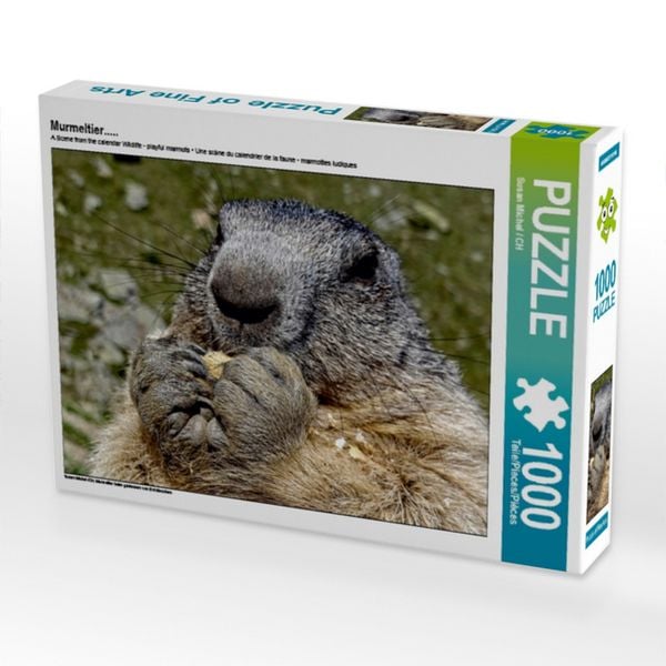 CALVENDO Puzzle Murmeltier..... | 1000 Teile Lege-Größe 64x48cm Foto-Puzzle für glückliche Stunden