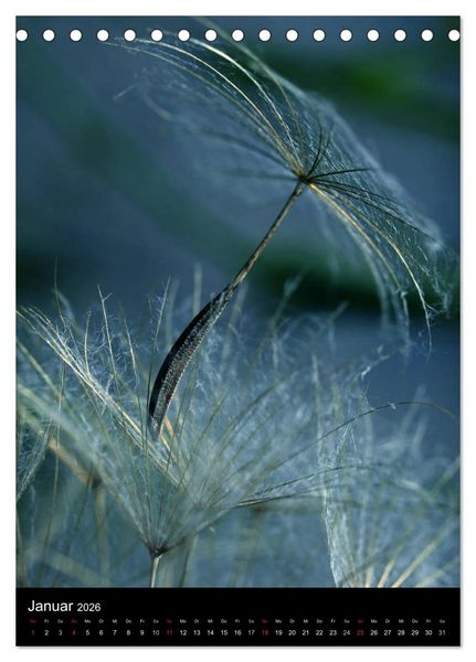 Produktbild: Kunst in der Natur (Tischkalender 2026 DIN A5 hoch), CALVENDO Monatskalender
