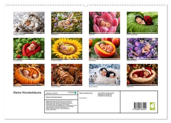 Produktbild: Kleine Wundertr&auml;ume (hochwertiger Premium Wandkalender 2027 DIN A2 quer), Kunstdruck in Hochglanz