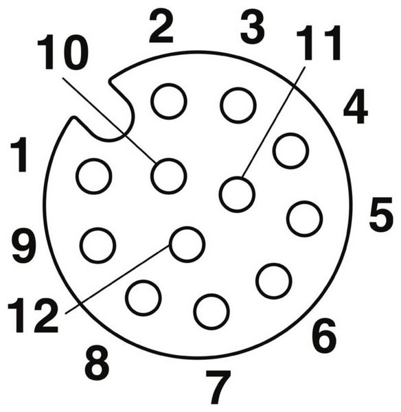 Produktbild: Phoenix Contact 1559631 Sensor-/Aktor-Steckverbinder, unkonfektioniert M12 Buchse, gerade Polzahl Sensoren: 12 1 St.
