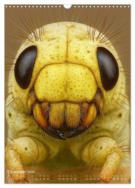 Produktbild: Makromonster - Sch&ouml;nheit im Detail (Wandkalender 2026 DIN A3 hoch), CALVENDO Monatskalender