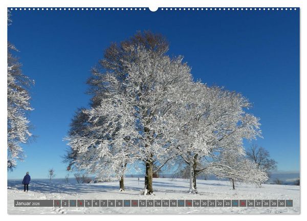 Produktbild: Stuttgarter Tagestouren (Wandkalender 2026 DIN A2 quer), CALVENDO Monatskalender