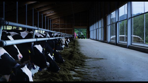 Produktbild: Bauer Unser