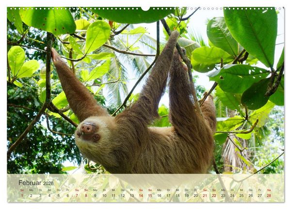 Produktbild: Bekanntes und Unbekanntes Costa Rica (hochwertiger Premium Wandkalender 2026 DIN A2 quer), Kunstdruck in Hochglanz
