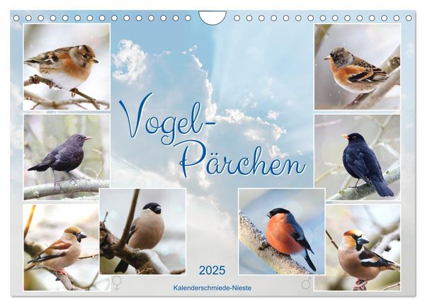 Vogel-Pärchen (Wandkalender 2025 DIN A4 quer), CALVENDO Monatskalender