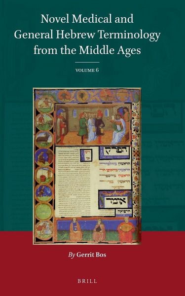 Produktbild: Novel Medical and General Hebrew Terminology from the Middle Ages
