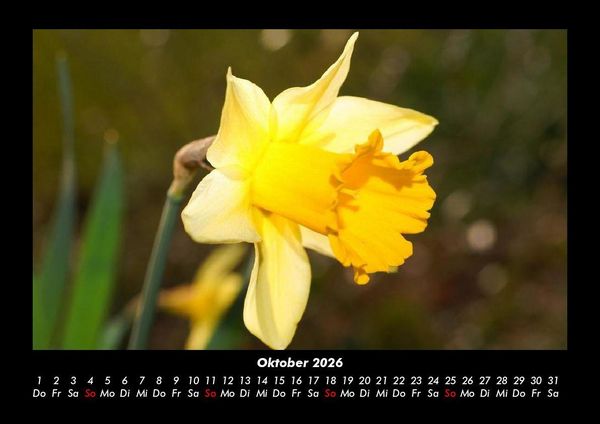 Produktbild: Blumenzauber 2026 Fotokalender DIN A3