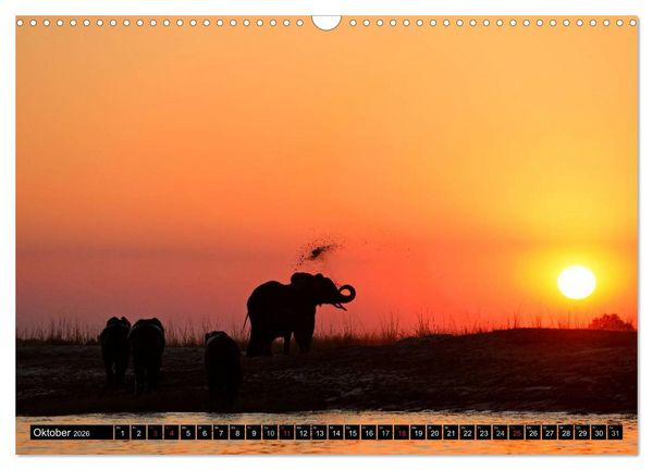 Produktbild: Magie des Augenblicks - Elefanten - Afrikas sanfte Riesen (Wandkalender 2026 DIN A3 quer), CALVENDO Monatskalender