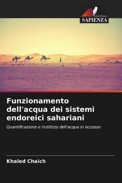 Produktbild: Funzionamento dell'acqua dei sistemi endoreici sahariani