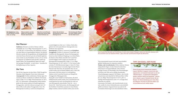 Produktbild: Aquascaping