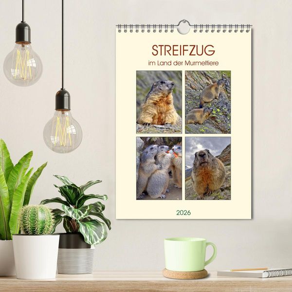 Produktbild: STREIFZUG im Land der Murmeltiere (Wandkalender 2026 DIN A4 hoch), CALVENDO Monatskalender