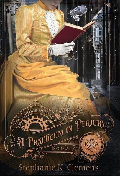Produktbild: A Practicum in Perjury