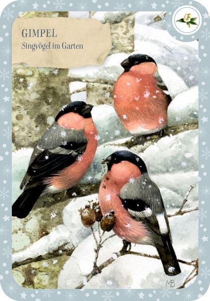 Produktbild: Schachtelsp.: Zauberh. Vogelwelt - winterl.Quartett (Bastin)