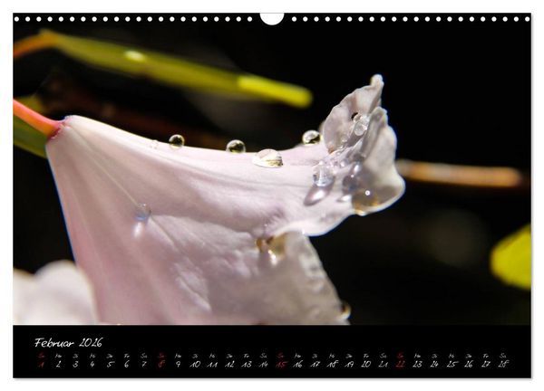 Produktbild: Butchart Gardens 2026 (Wandkalender 2026 DIN A3 quer), CALVENDO Monatskalender