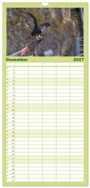 Produktbild: Familienplaner 2027 - Greifv&ouml;gel in Aktion - Dynamische Flugbilder und Portr&auml;ts mit 5 Spalten (Wandkalender, 21 x 45 cm) CALVENDO
