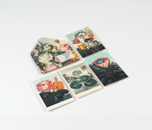 Produktbild: Flowers