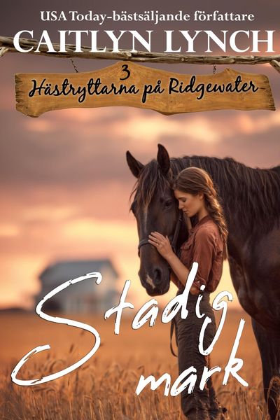 Produktbild: Stadig mark