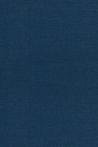 Produktbild: Singular Integrals and Differentiability Properties of Functions