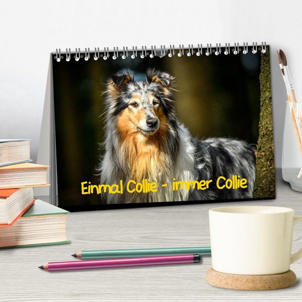 Produktbild: Einmal Collie - immer Collie (Tischkalender 2026 DIN A5 quer), CALVENDO Monatskalender