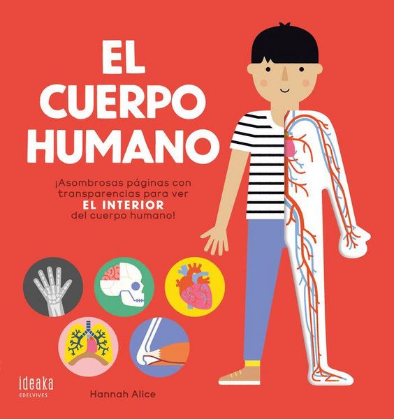 Produktbild: El cuerpo humano