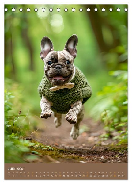 Produktbild: Frenchie Couture - Franz&ouml;sische Bulldoggen in Strick-Chic (Tischkalender 2026 DIN A5 hoch), CALVENDO Monatskalender