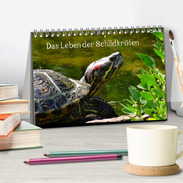 Produktbild: Das Leben der Schildkr&ouml;ten (Tischkalender 2026 DIN A5 quer), CALVENDO Monatskalender