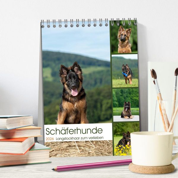 Produktbild: Sch&auml;ferhunde Langstockhaar zum verlieben (Tischkalender 2026 DIN A5 hoch), CALVENDO Monatskalender
