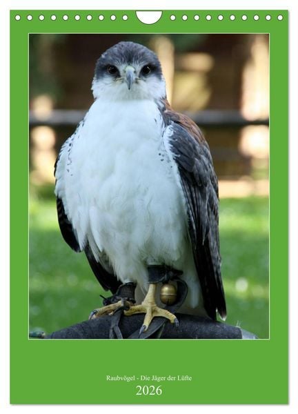 Produktbild: Raubv&ouml;gel - Die J&auml;ger der L&uuml;fte (Wandkalender 2026 DIN A4 hoch), CALVENDO Monatskalender