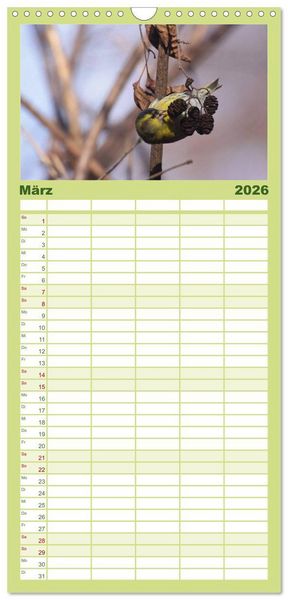 Produktbild: Familienplaner 2026 - Die farbenfrohe Welt der Finken mit 5 Spalten (Wandkalender, 21 x 45 cm) CALVENDO